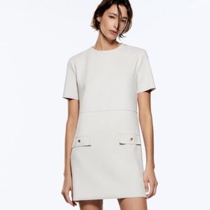 Zara Faux Suede Dress